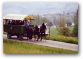 Pferdwagen  &raquo; Zum Vergr&ouml;&szlig;ern klicken ->