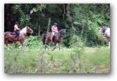 Die R&auml;uber kommen per Pferd und Waffen  &raquo; Zum Vergr&ouml;&szlig;ern klicken ->
