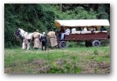 Die R&auml;uber pl&uuml;ndern den Planwagen  &raquo; Zum Vergr&ouml;&szlig;ern klicken ->