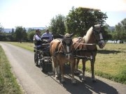 Sch&ouml;ne Romantik-Tour am Bodensee mit viel Ruhe und Besinnlichtkeit