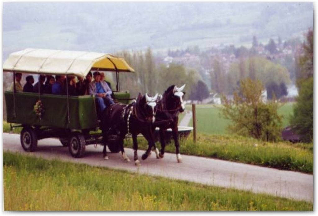 Eine Pferdewagenfahrt durch die Rebberge von Stein am Rhein
